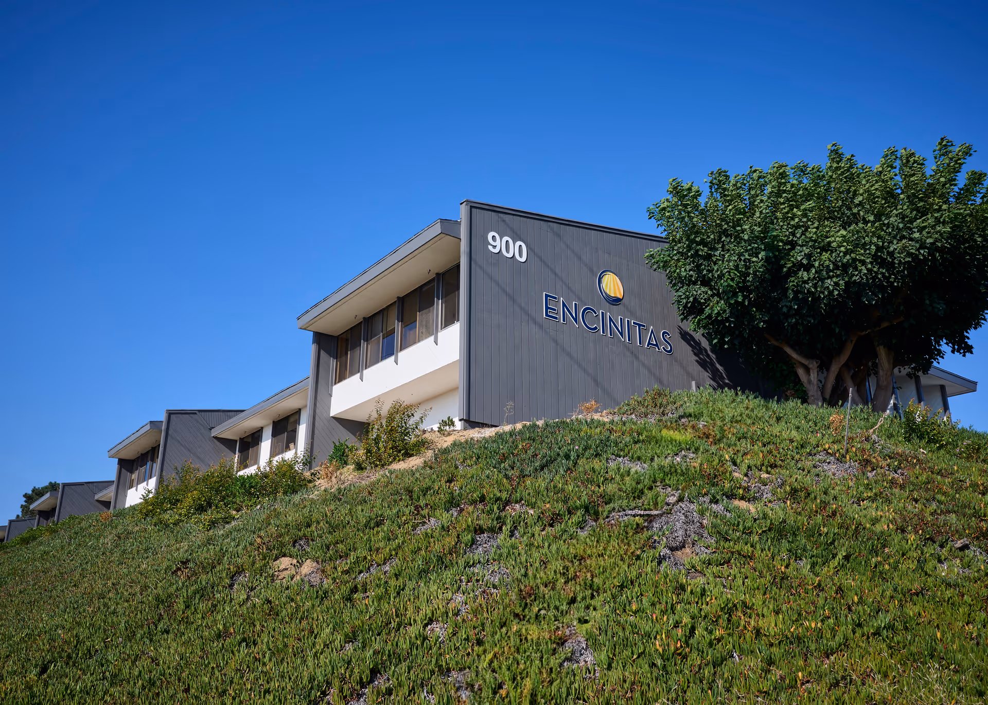 Exterior view of the Encinitas Nursing and Rehabilitation Center building with a clear blue sky, green shrubbery on a hill in the foreground, and the building number 900 displayed on the side.