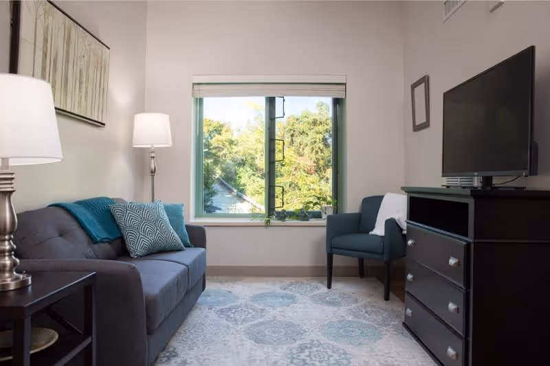 A cozy living room with a gray sofa adorned with teal and patterned pillows, a floor lamp beside it, a window showing green trees outside, a teal armchair with a white throw, a dark wooden dresser with a flat-screen TV on top, and a patterned area rug covering the floor.