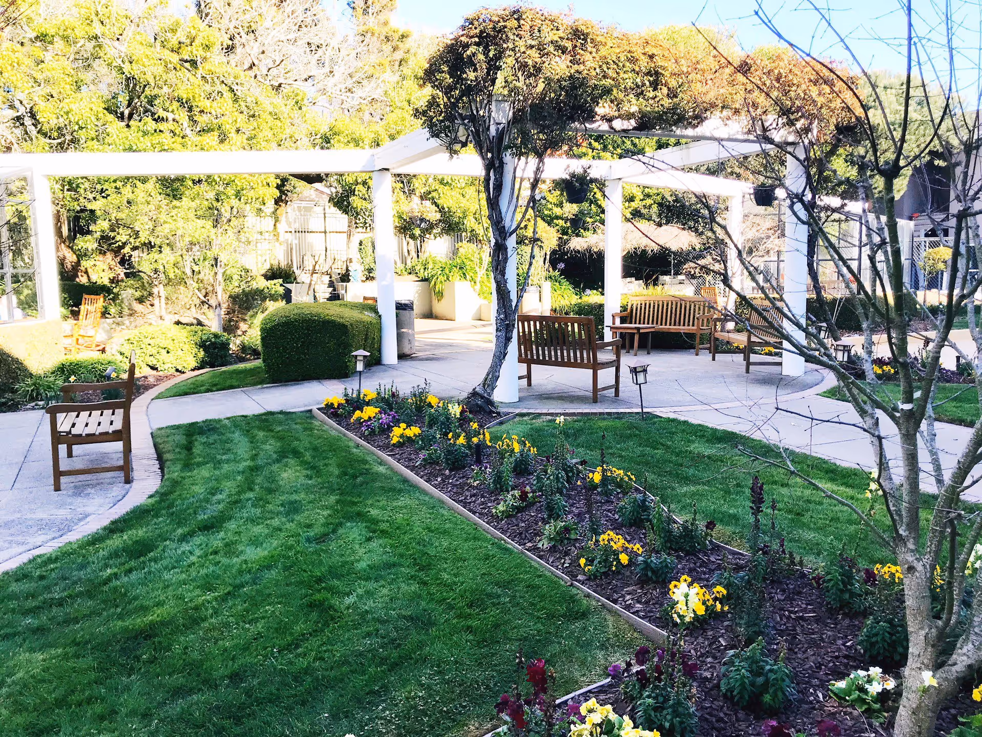 A well-maintained outdoor garden area with green grass, flower beds with yellow and purple flowers, wooden benches, and white pergolas. Trees and shrubs surround the paved walkways, creating a peaceful and inviting space.