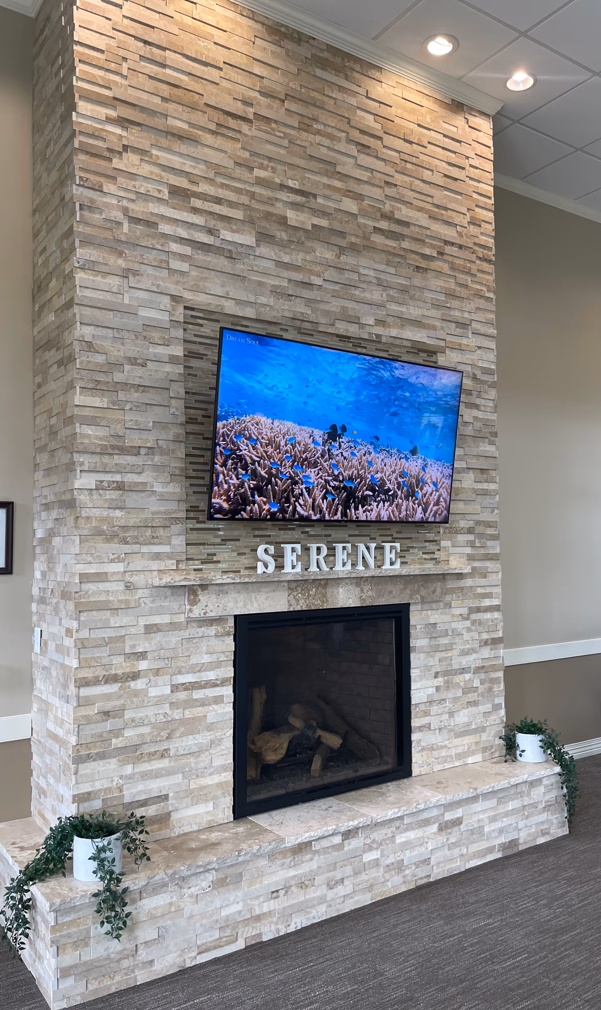 A modern stone fireplace with a mounted flat-screen TV displaying an underwater coral scene. The word 'SERENE' is displayed in white letters above the fireplace. Two potted plants with trailing greenery are placed on either side of the fireplace base. The room has beige walls and a carpeted floor.