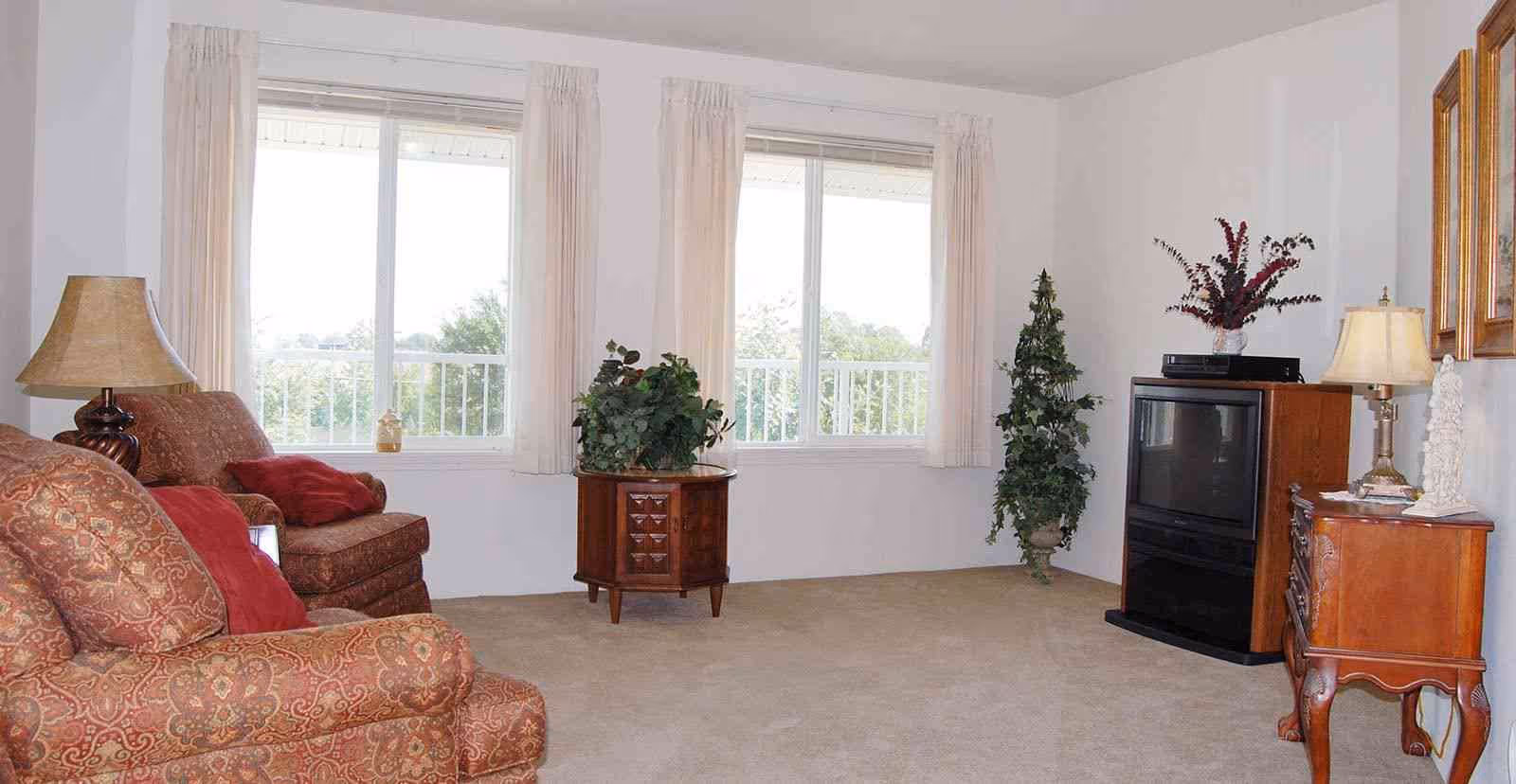 A living room with two patterned armchairs with red cushions, a wooden side table with a lamp, a small wooden cabinet with a plant, two large windows with white curtains, a TV on a wooden stand, a wooden dresser with a lamp and decorative items, and a potted plant in the corner.