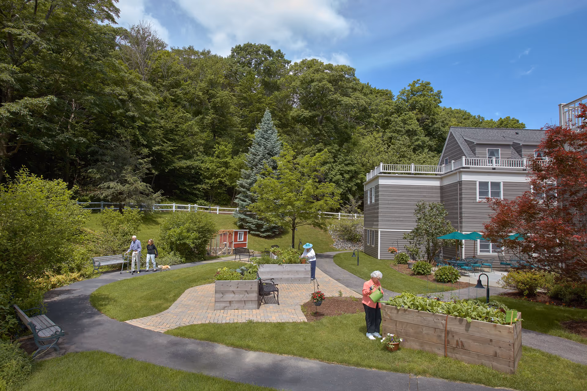 Outdoor garden area at Goddard House Assisted Living with raised garden beds where two elderly women are tending plants. A paved walking path curves around the garden, and two elderly people are walking with a dog near benches. The building and patio with green umbrellas are visible on the right, surrounded by lush green trees and a bright blue sky.