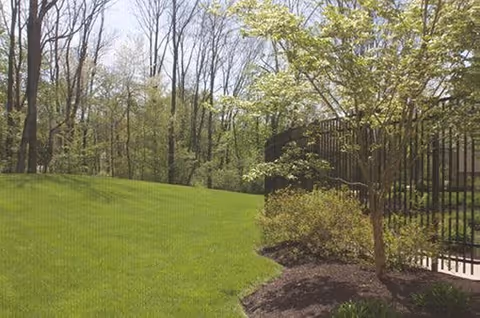 Photo 16 of Spring Mill Pointe