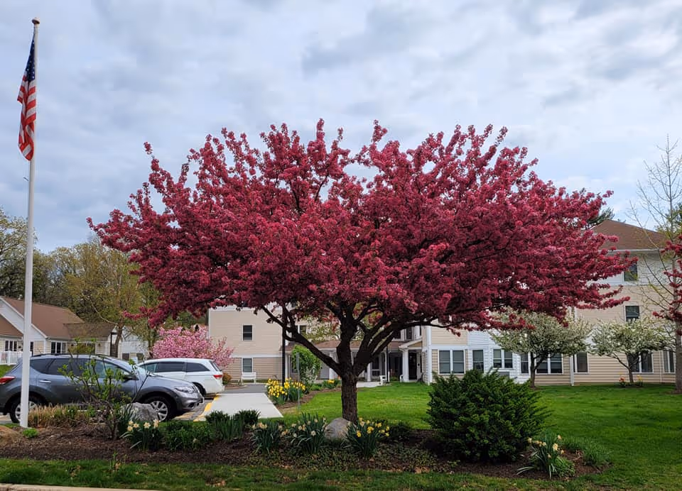 Photo 8 of Rockridge Retirement Community