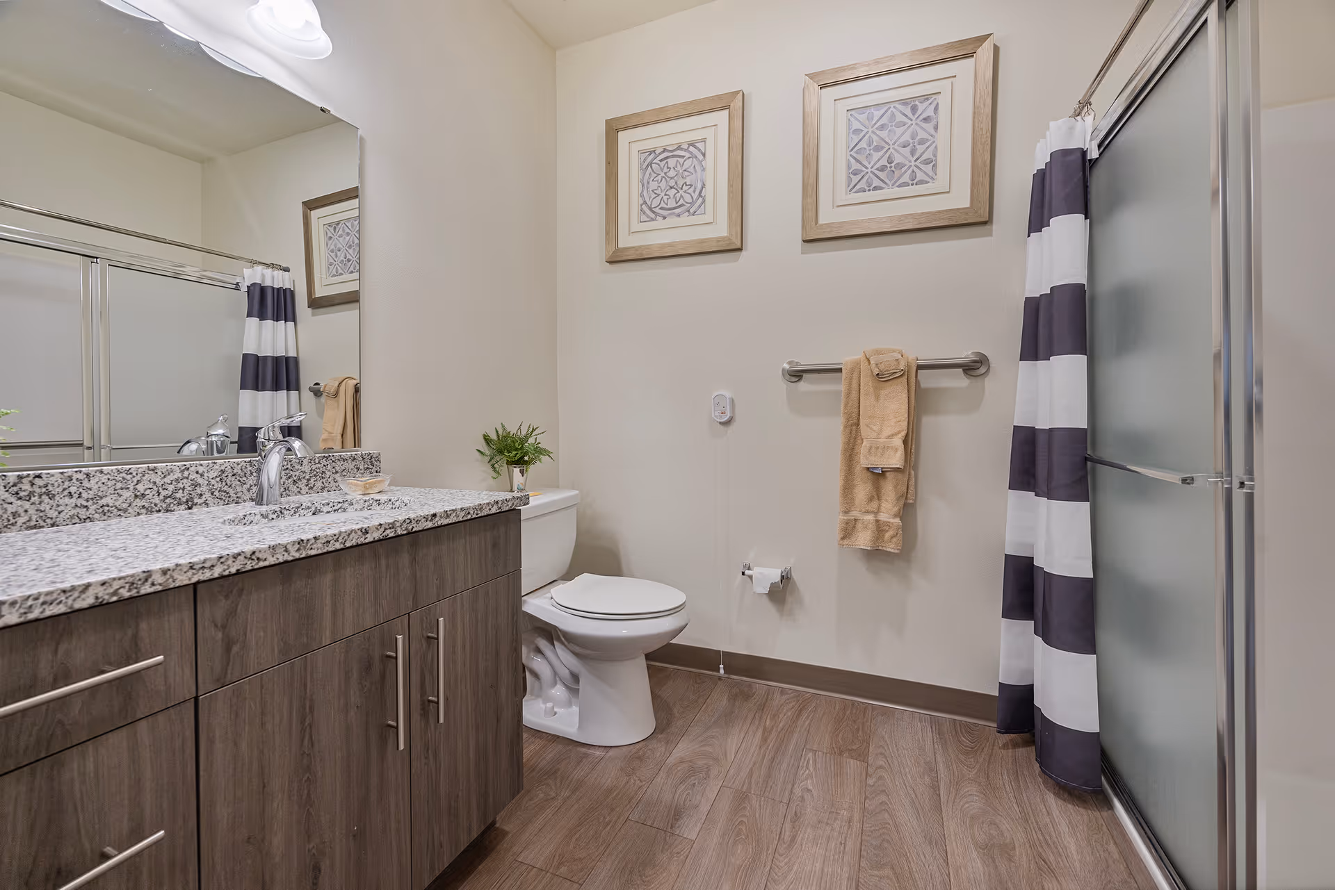 A clean and modern bathroom featuring a granite countertop with a sink, a wooden cabinet below, a toilet, a towel rack with a beige towel, two framed decorative pictures on the wall, a small plant on the toilet tank, and a shower with frosted glass doors and a black and white striped shower curtain.