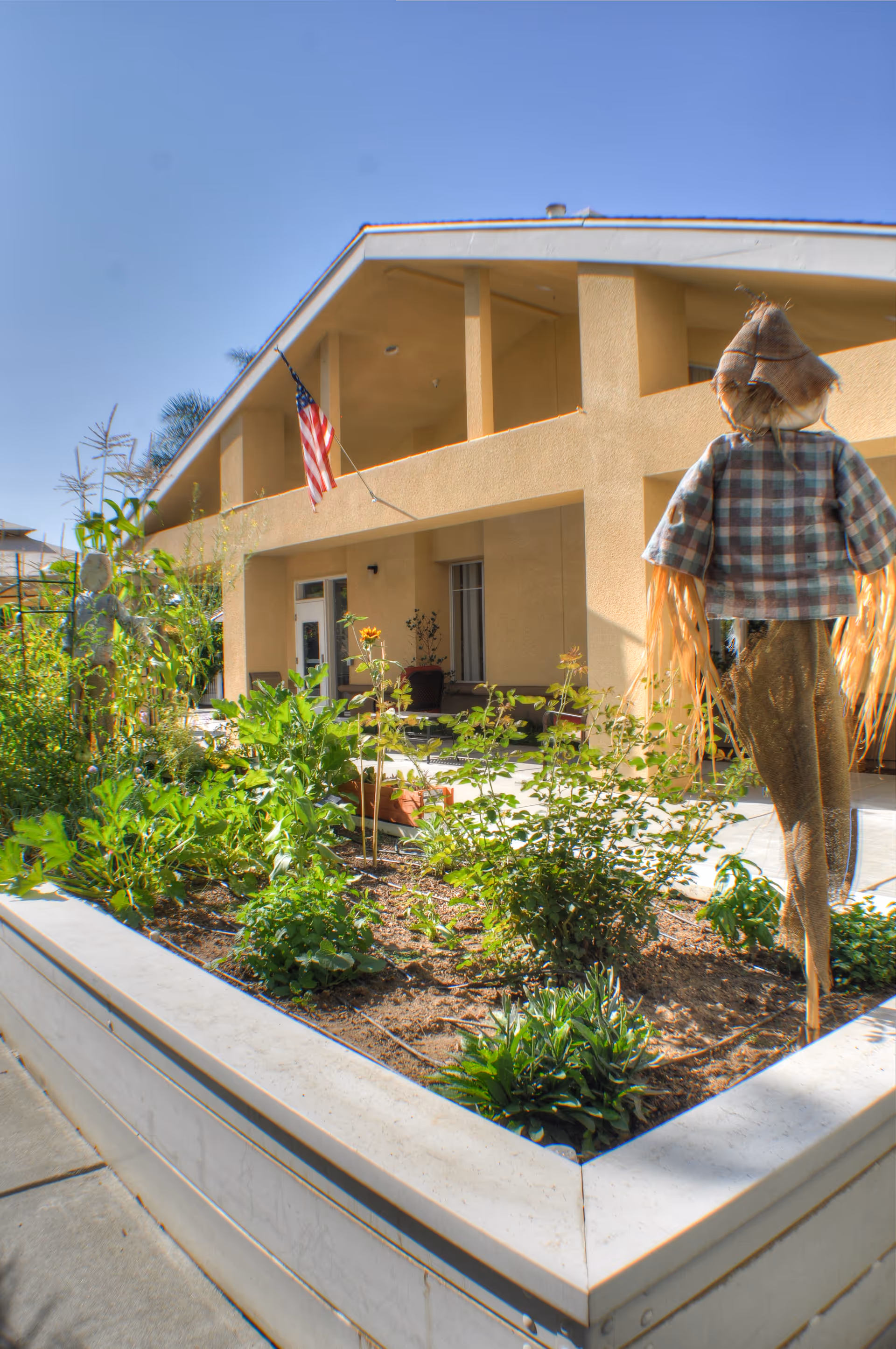 Outdoor garden area with various green plants and a scarecrow wearing a plaid shirt, situated in front of a beige two-story building with an American flag hanging near the entrance under a clear blue sky.