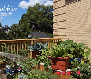 A balcony or patio area with various potted plants and greenery, a wooden railing, and part of a brick building wall. Trees and a blue sky with clouds are visible in the background.