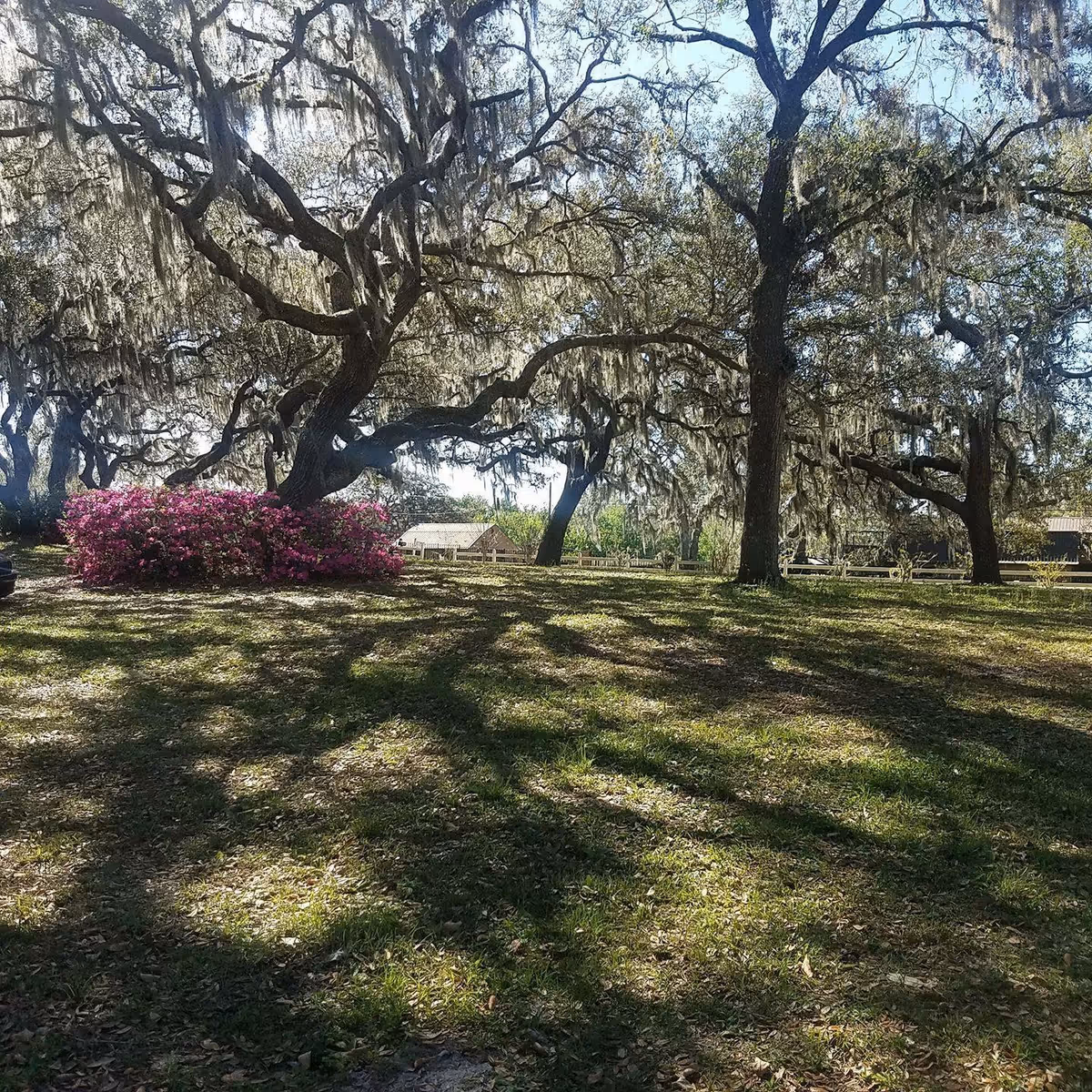 Photo 4 of Freedom Oaks