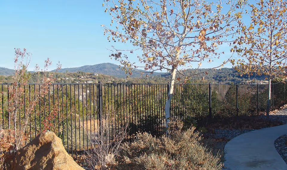 Outdoor garden area with a curved concrete pathway, dry shrubs, a large rock, and a black metal fence. In the background, there are hills and trees under a clear blue sky.