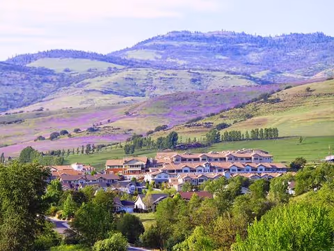A scenic view of a residential facility named Mountain Meadows surrounded by lush green trees and hills with patches of purple flowers in the background under a partly cloudy sky.