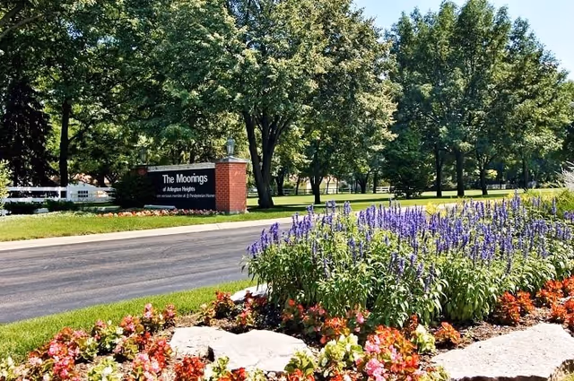 A landscaped outdoor area at The Moorings at Arlington Heights featuring a flower bed with purple and red flowers in the foreground, a paved road, green grass, and large leafy trees in the background. A brick sign with white text reads 'The Moorings at Arlington Heights, an exclusive member of the Presbyterian Homes.'