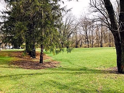A grassy outdoor area with several trees, some with bare branches and others with green foliage, under a cloudy sky.