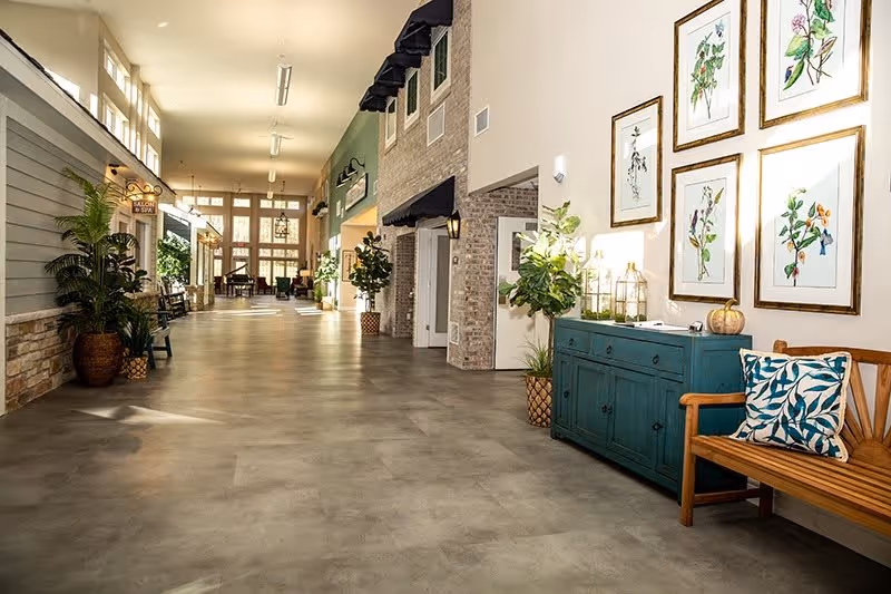 A spacious, well-lit hallway in a senior living facility with high ceilings and large windows. The hallway features decorative plants, framed botanical artwork on the walls, a wooden bench with a patterned cushion, and a teal sideboard with decorative items. There are multiple doorways and a sign indicating a salon and spa area further down the hall.