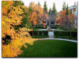 Photo 9 of The Terraces of Los Gatos