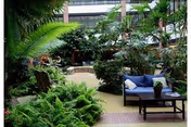 Indoor garden area with lush green plants and palm trees surrounding a seating area that includes a blue cushioned sofa with pillows and a coffee table, located inside a building with large windows.