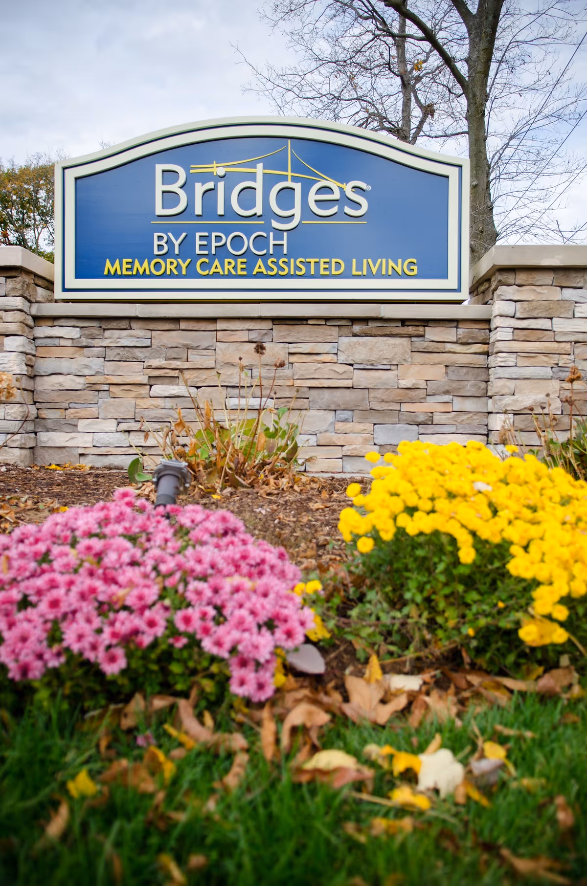 Photo of Bridges by EPOCH at Trumbull