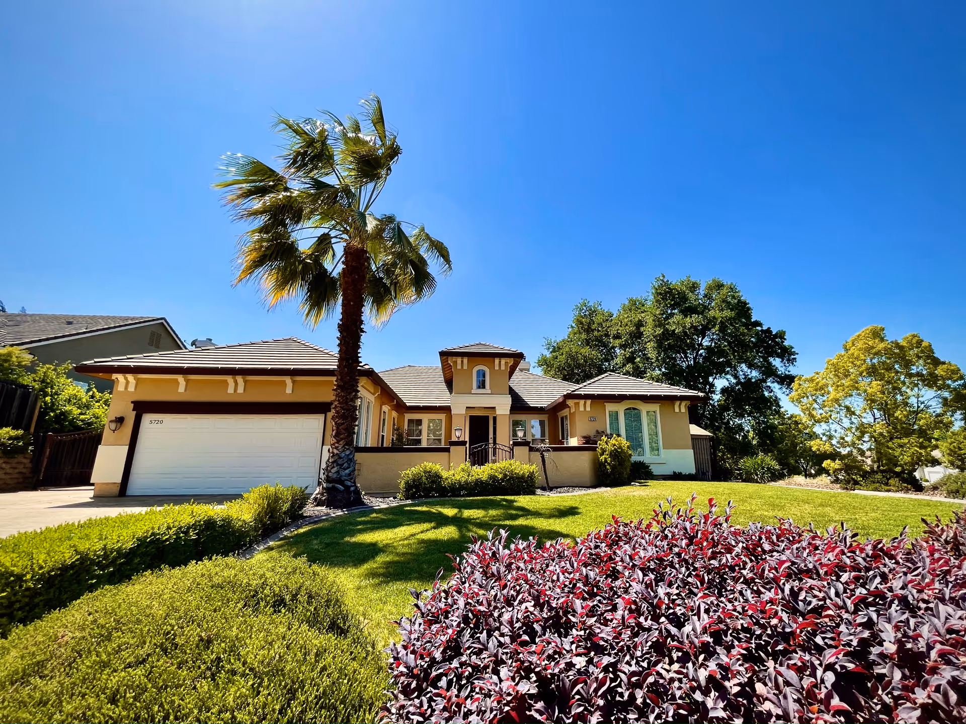 A single-story house with a beige exterior and a tiled roof under a clear blue sky. The front yard features a well-maintained lawn, a tall palm tree, various shrubs, and a bush with dark red leaves. The house has a white garage door and several windows, with a small gated entrance in the center.