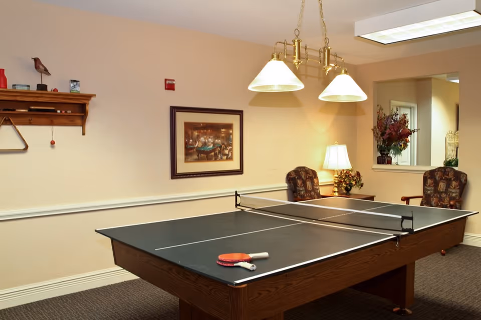 Indoor recreational room featuring a table tennis setup on a pool table with paddles and a ball, two upholstered chairs, a table lamp, a framed picture on the wall, and a shelf with decorative items.