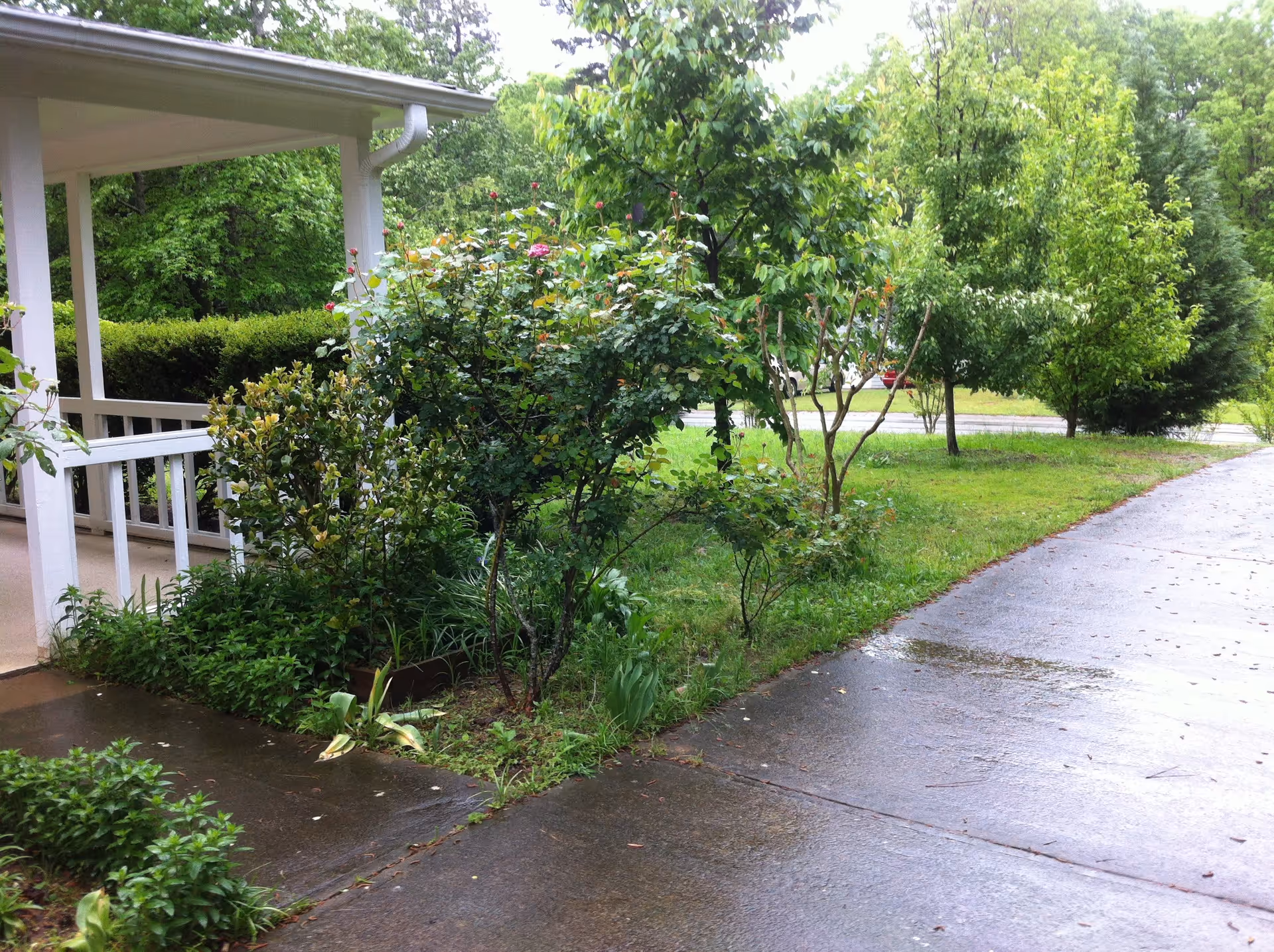 Photo 9 of Maria's Warm  Home
