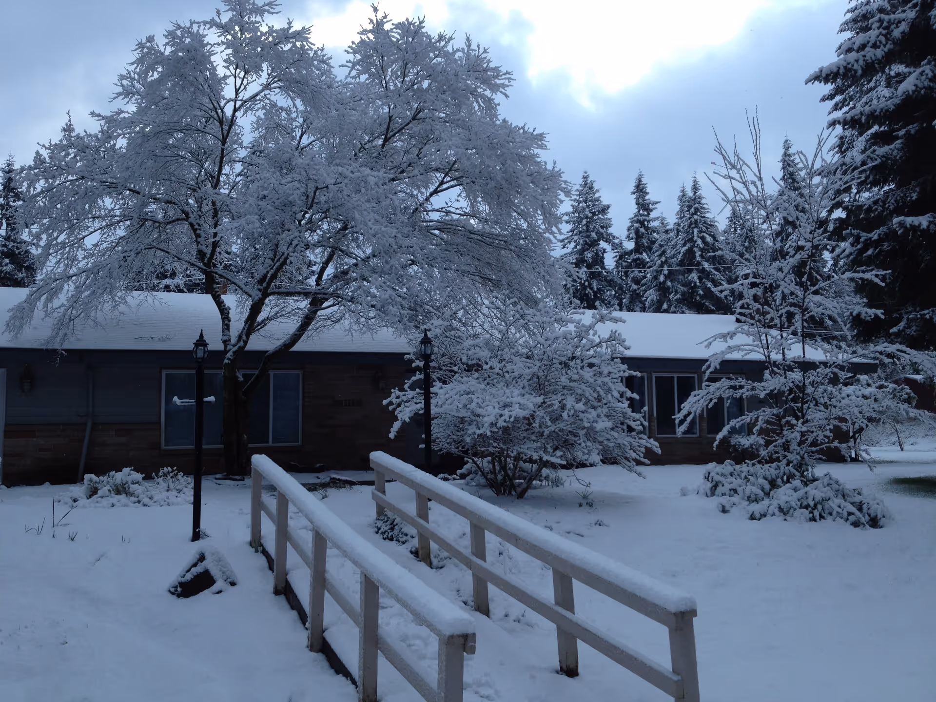 Snow-covered landscape featuring a single-story building partially visible behind snow-laden trees and bushes. A wooden handrail bridge covered in snow leads towards the building. The sky is cloudy and the ground is blanketed with fresh snow.