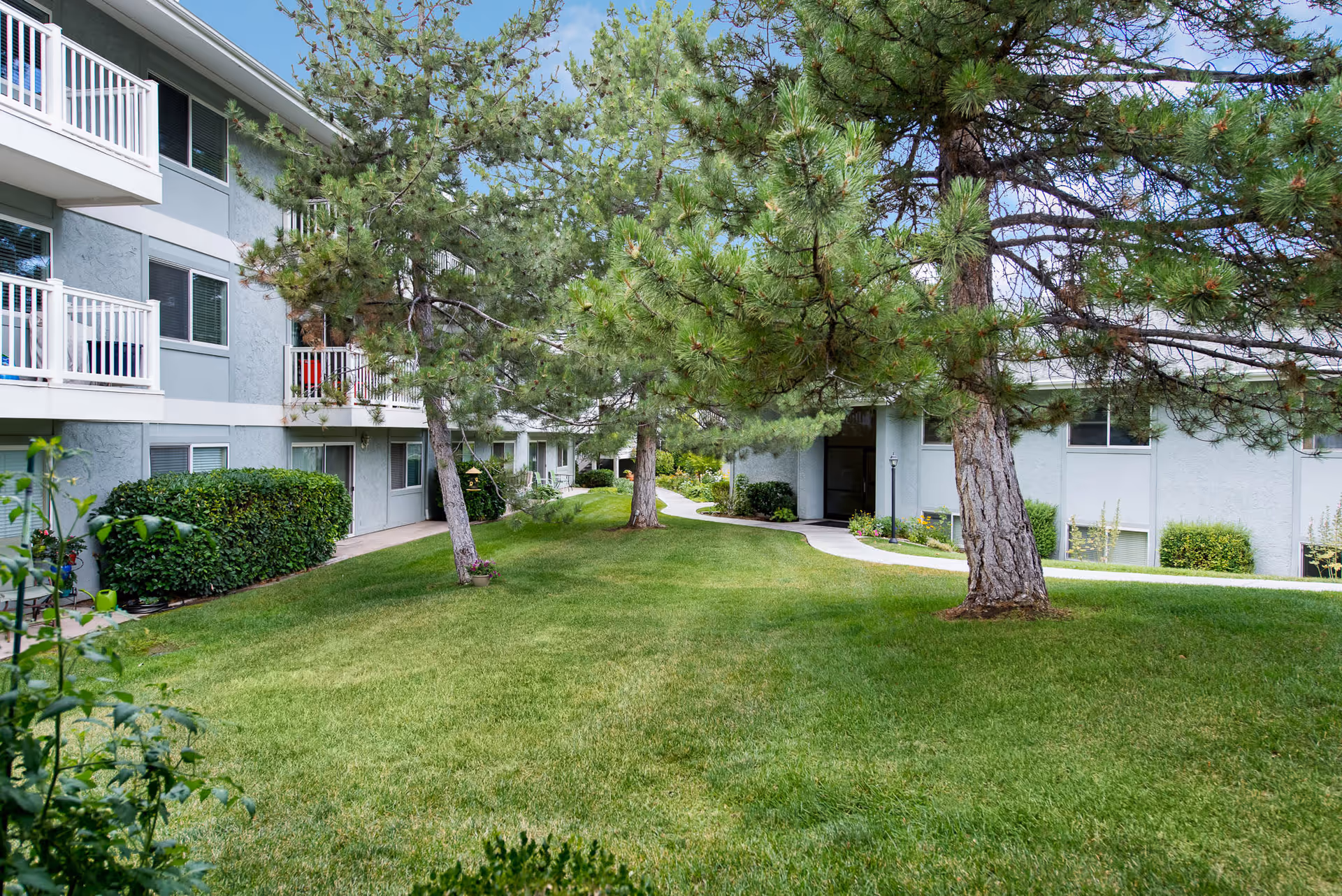 A grassy courtyard area with several large pine trees surrounded by a two-story building with balconies and windows. The building is light gray with white railings and trim. There is a paved walkway winding through the courtyard, and some bushes and potted plants are visible near the building.