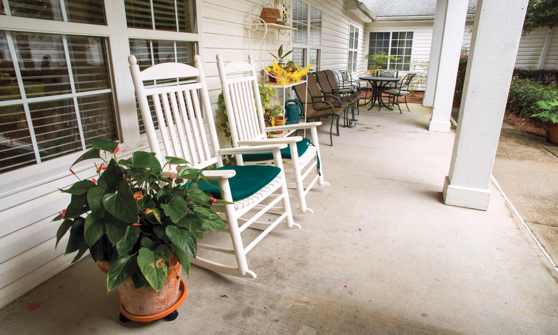 A covered outdoor patio area with white rocking chairs featuring green cushions, several metal chairs, a round metal table, and various potted plants along the side of a white building with large windows.