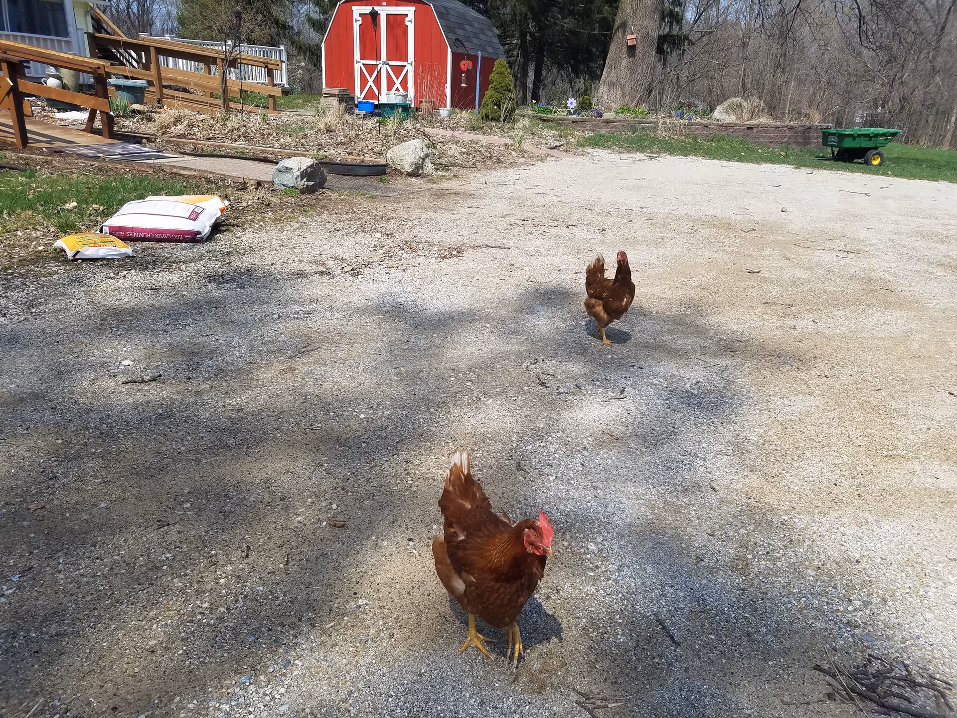 Photo 2 of Old Farm Living AFC