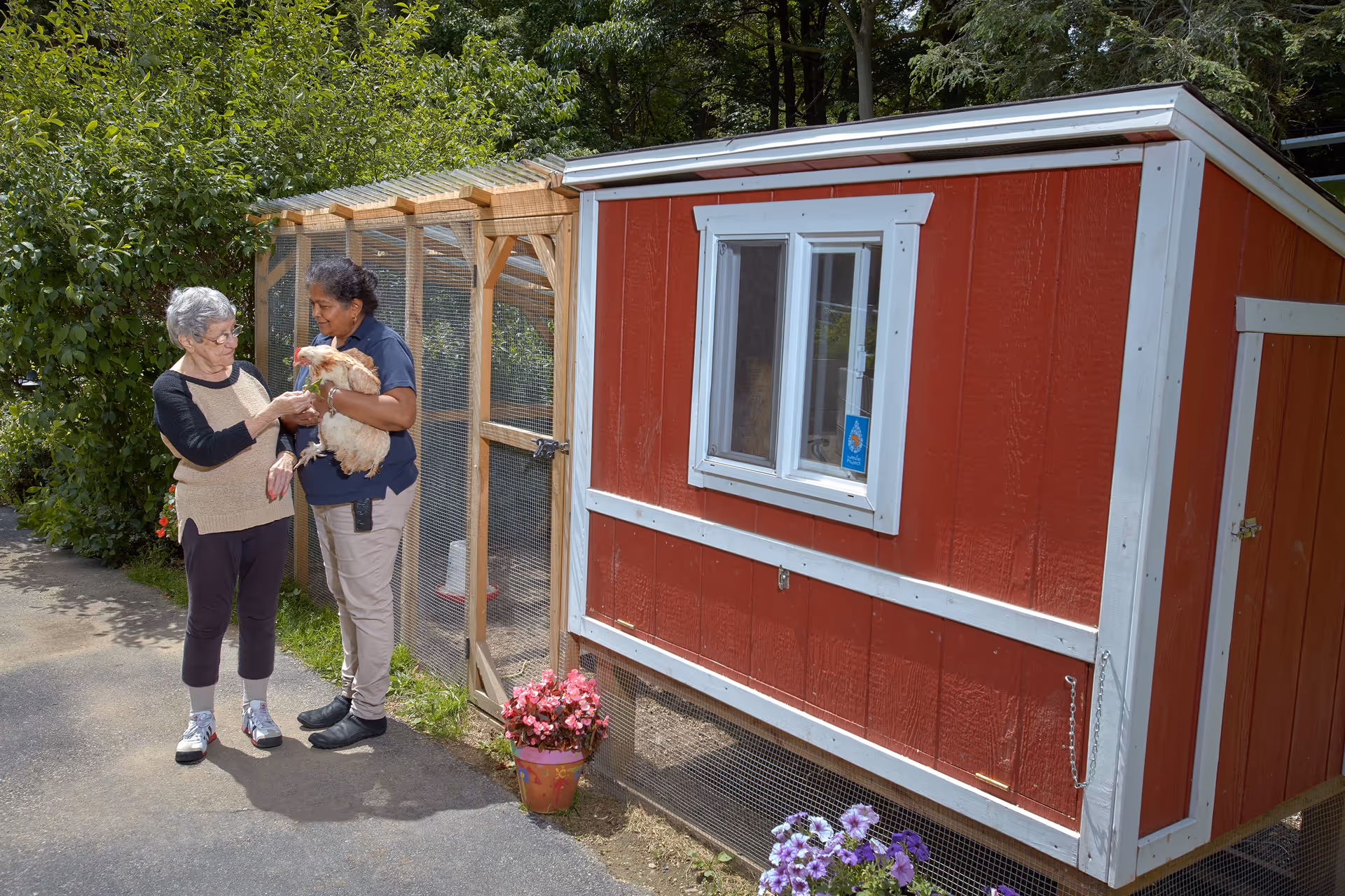 An elderly woman and a caregiver standing outside next to a red chicken coop. The caregiver is holding a chicken while the elderly woman is feeding it. There are flowers in pots near the chicken coop and greenery in the background.