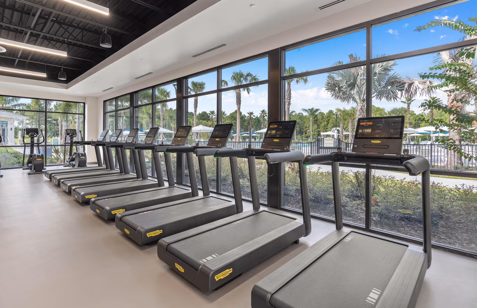 A modern fitness room with a row of treadmills facing large floor-to-ceiling windows that provide a view of palm trees and an outdoor pool area under a blue sky.
