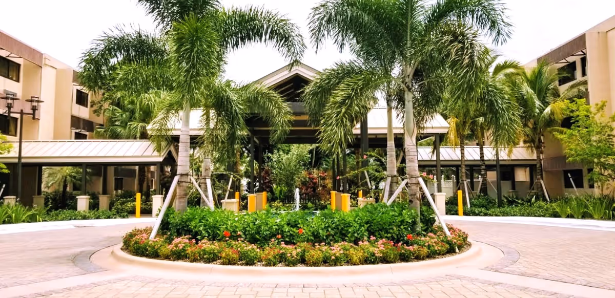 Entrance of Las Palmas Senior Living facility featuring a circular driveway with landscaped greenery and palm trees, flanked by multi-story buildings under a partly cloudy sky.
