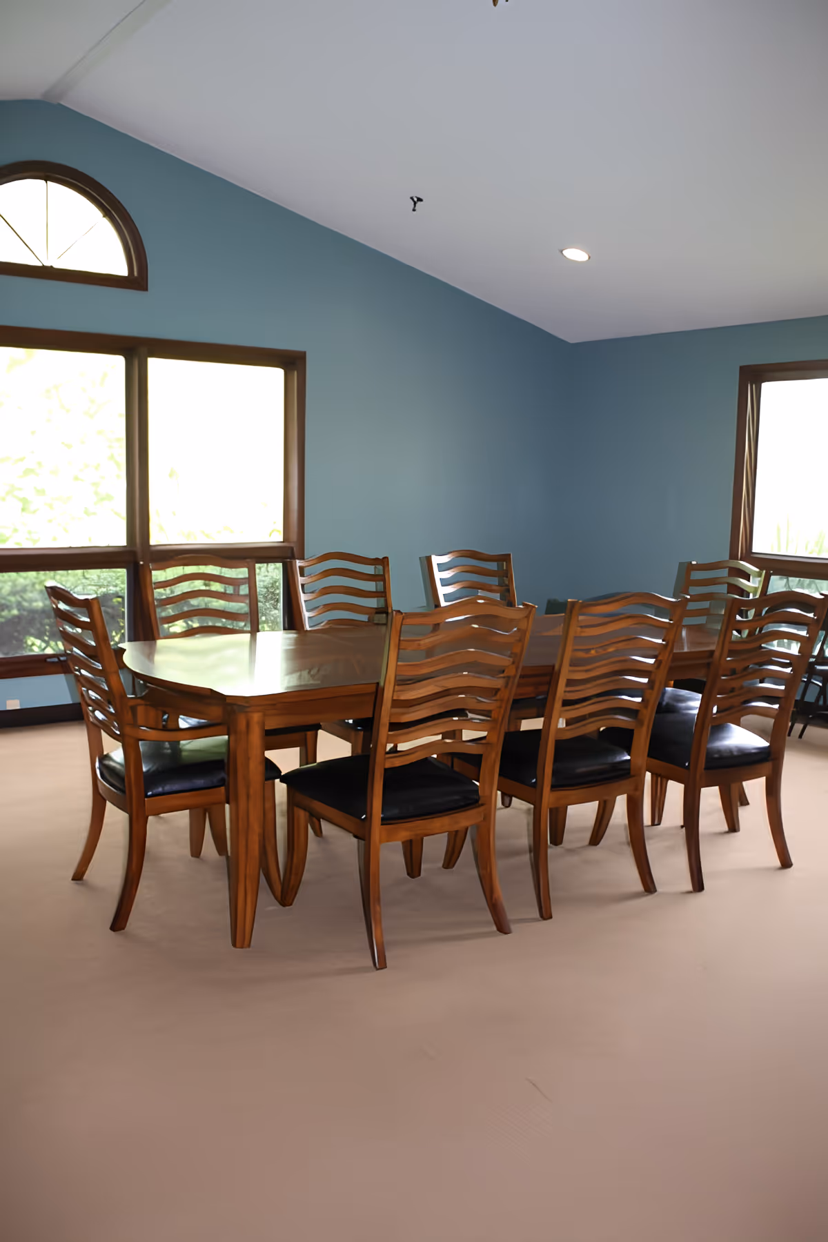 A dining room with a large wooden table surrounded by eight matching wooden chairs with black cushions. The room has blue walls, beige carpet, and large windows letting in natural light.