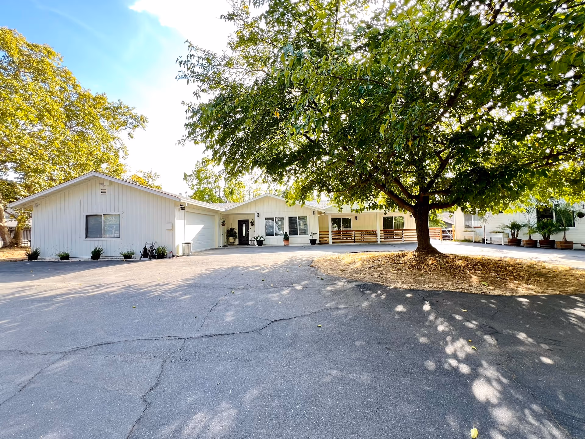 Exterior view of a single-story white building with a large tree in front and a paved driveway. The building has multiple windows, a garage door, and a covered porch area with potted plants.