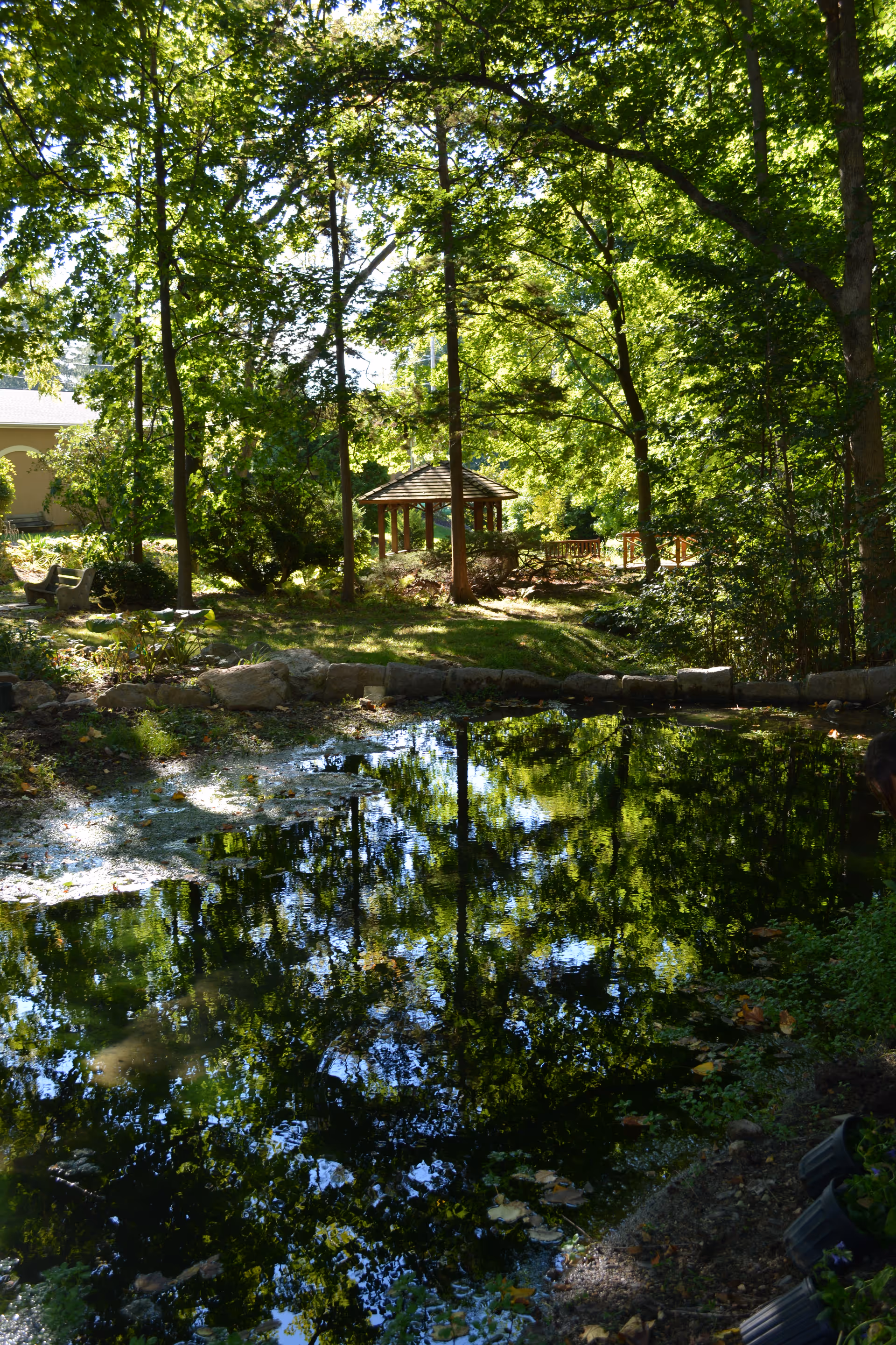 A serene outdoor garden area with tall trees and a small pond reflecting the greenery. There is a wooden gazebo in the background surrounded by lush vegetation and a stone border around the pond.