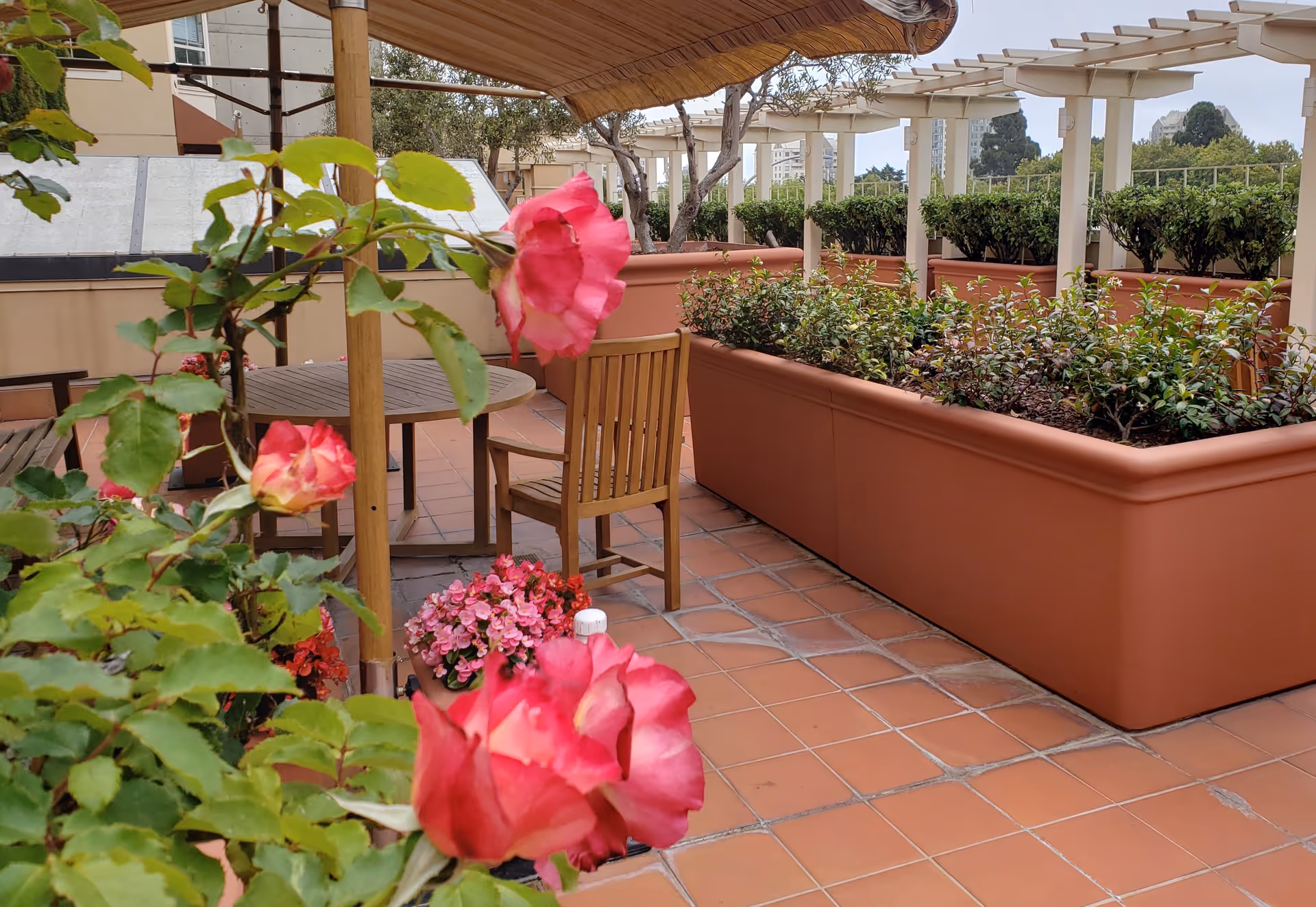 Photo 7 of Rhoda Goldman Plaza - San Francisco Assisted Living & Memory Care