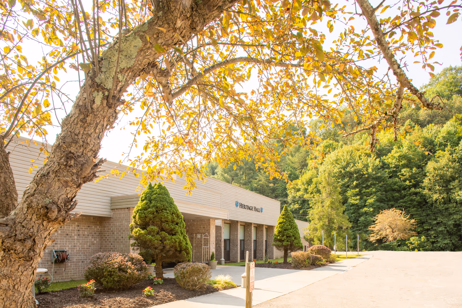 Exterior view of Heritage Hall Big Stone Gap building with a tree in the foreground showing yellow autumn leaves, landscaped bushes, and a clear driveway under a sunny sky.