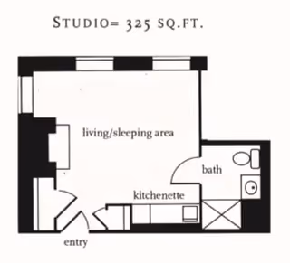 Floor plan of a studio apartment measuring 325 square feet, showing an entry leading to a kitchenette, a combined living and sleeping area, and a bathroom with a toilet, sink, and shower.