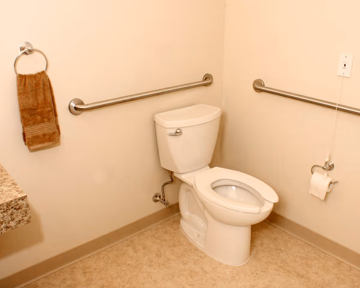 A clean and accessible bathroom corner featuring a white toilet with safety grab bars on both adjacent walls, a brown hand towel hanging on a ring holder, a granite countertop partially visible on the left, and a toilet paper holder mounted on the right wall.