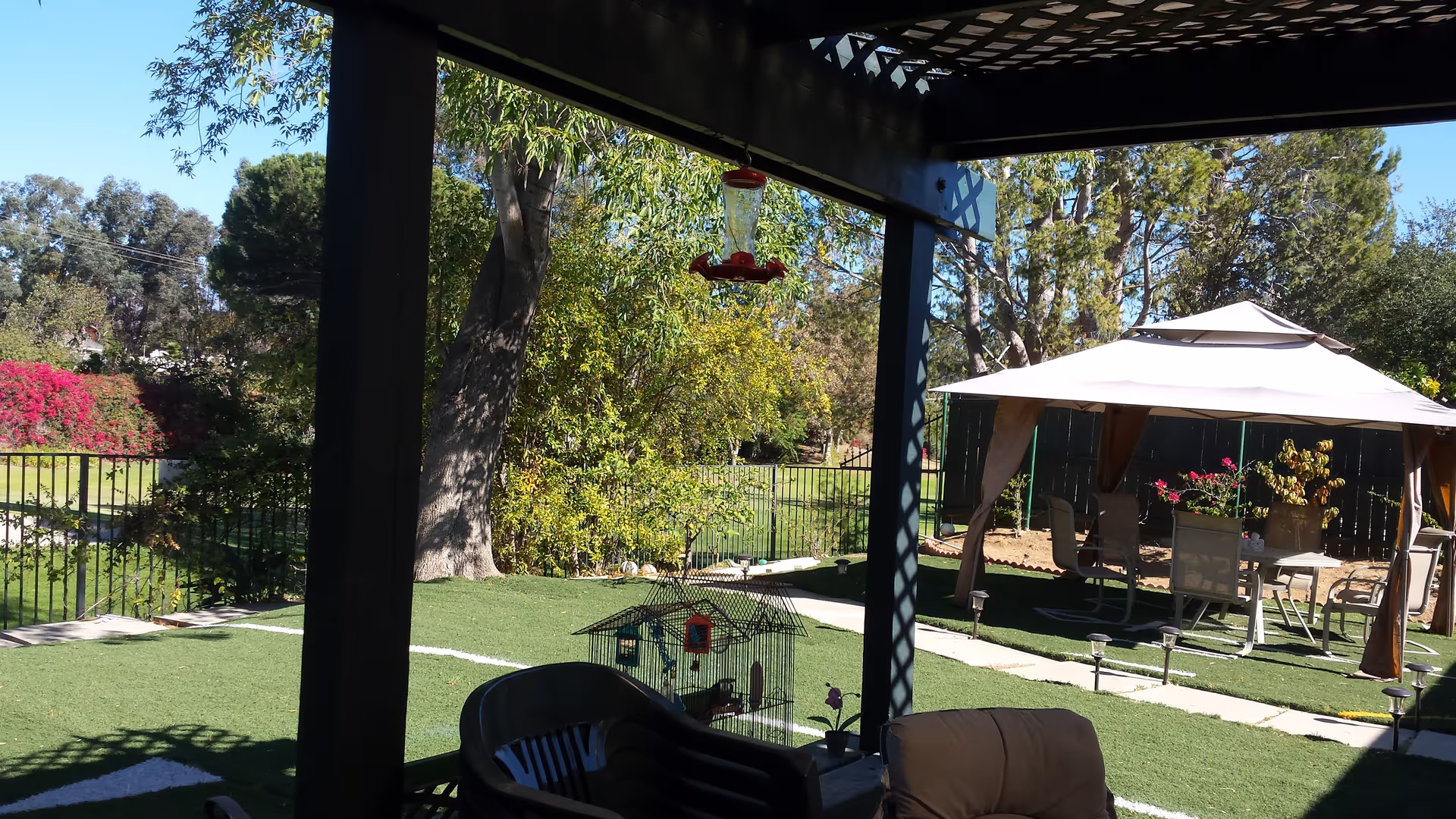Outdoor patio area with artificial grass, a black pergola casting shadows, a birdcage with birds, and a white canopy tent with chairs and a table underneath. Trees and bushes surround the fenced yard.