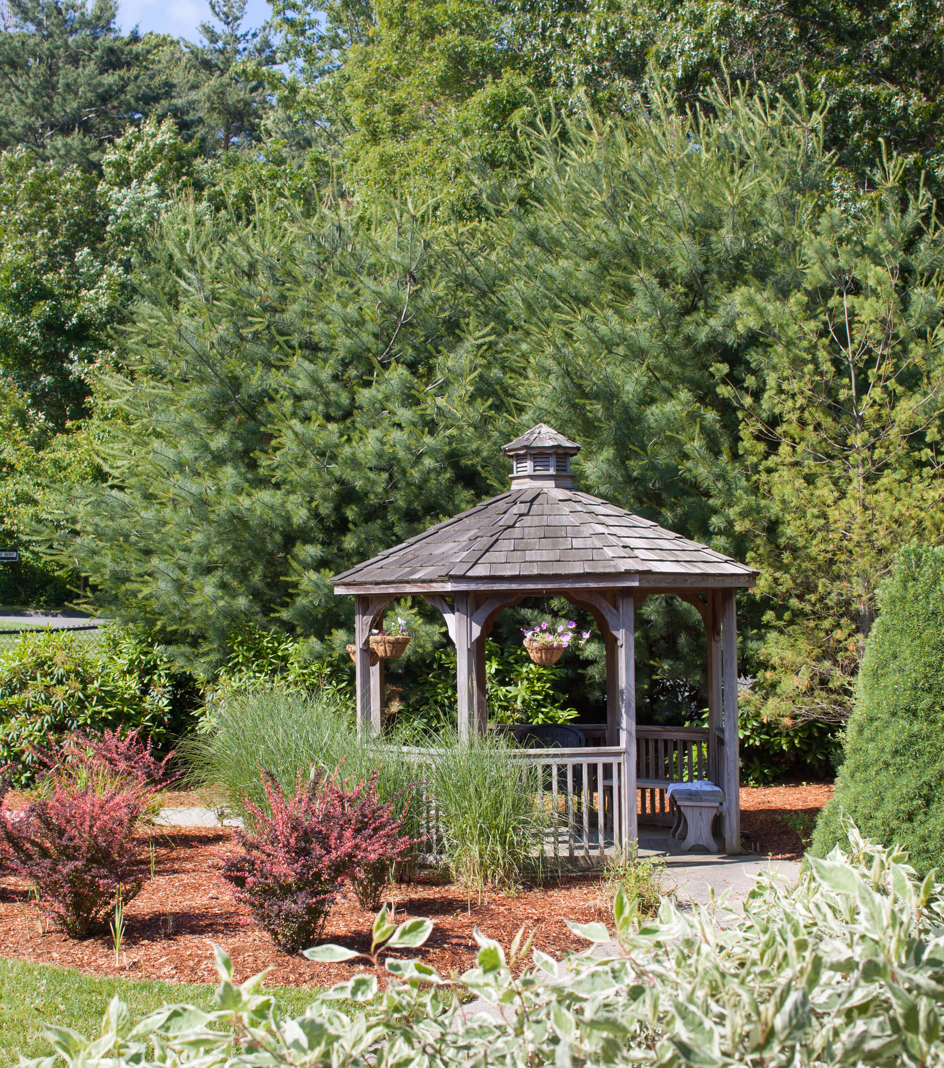 A wooden gazebo with a shingled roof surrounded by lush greenery, including tall pine trees, bushes with red leaves, and various other plants in a landscaped garden area.