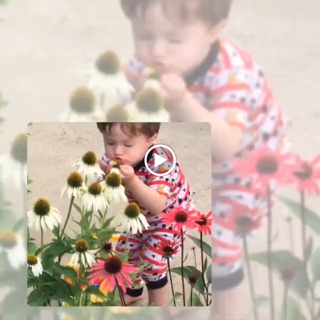 A young child wearing a red and white patterned outfit is closely examining and touching flowers in a garden, surrounded by white and pink coneflowers.