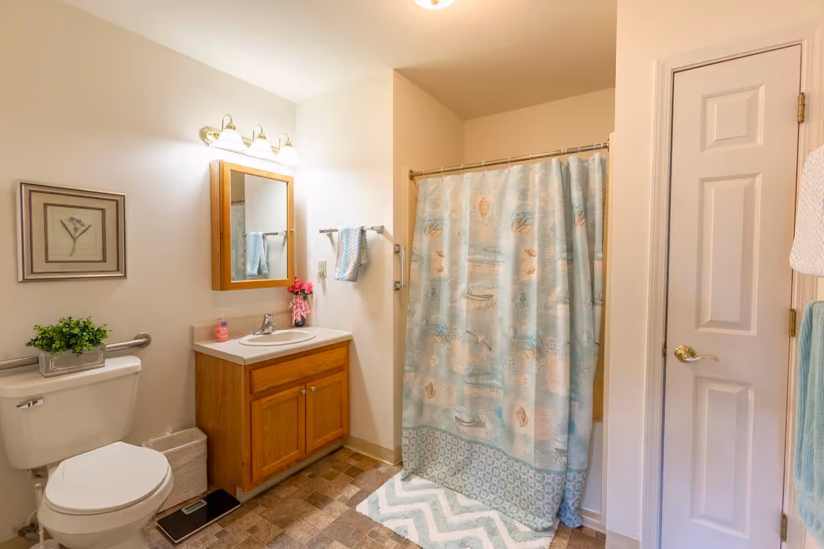 A clean bathroom featuring a toilet with a small green plant on the tank, a wooden vanity with a sink and a mirror above it, a towel rack with a blue towel, a shower with a blue patterned curtain, and a white door. The floor has a tiled pattern and there is a small rug in front of the shower.