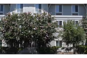 Exterior view of a multi-story residential building partially obscured by large flowering trees and greenery, with windows and balconies visible.