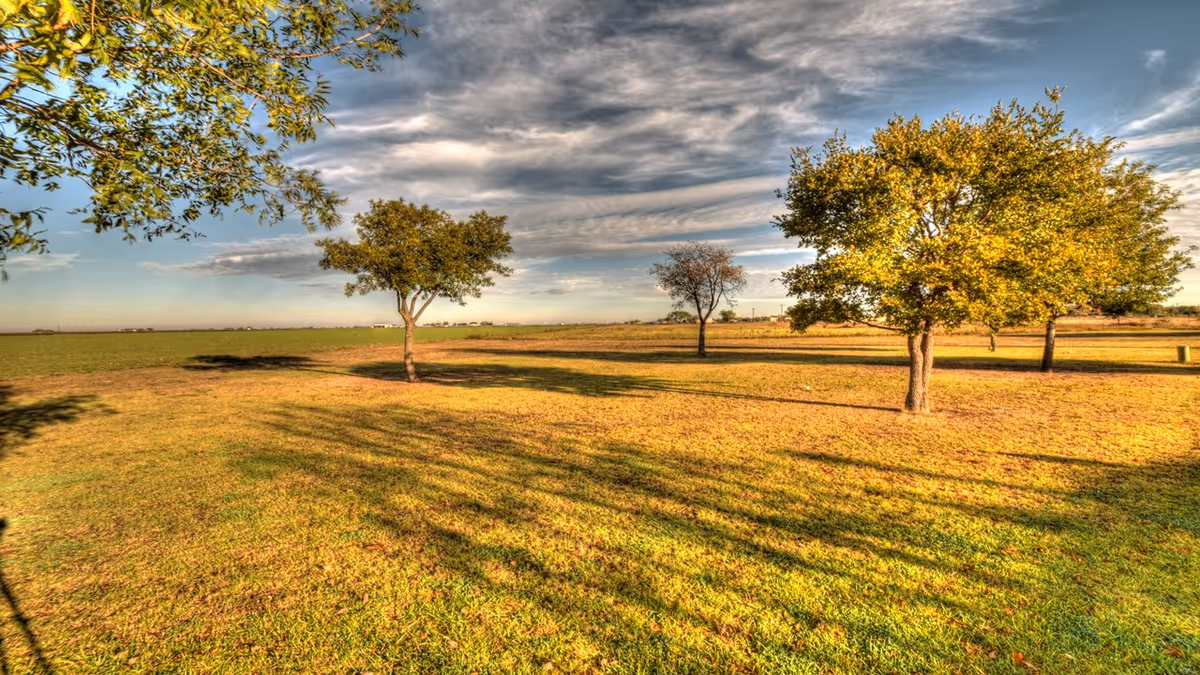 Photo 3 of BeeHive Homes of Floydada TX