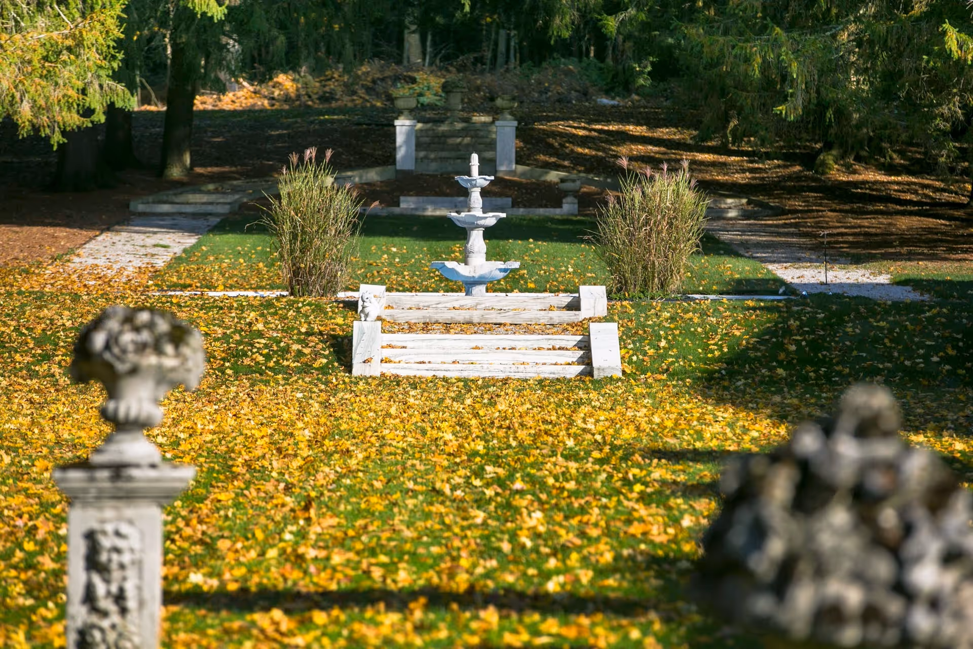 A garden area covered with fallen yellow leaves, featuring a white tiered fountain in the center, flanked by two tall ornamental grasses. Stone steps lead up to the fountain, with trees and shaded areas in the background.