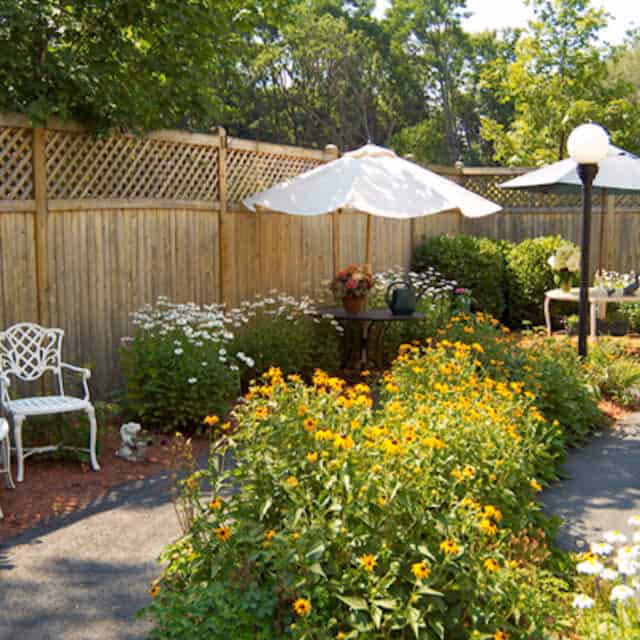 A sunny outdoor garden area with a wooden fence, blooming yellow and white flowers, two white patio umbrellas shading tables, a white metal chair, and a lamp post.