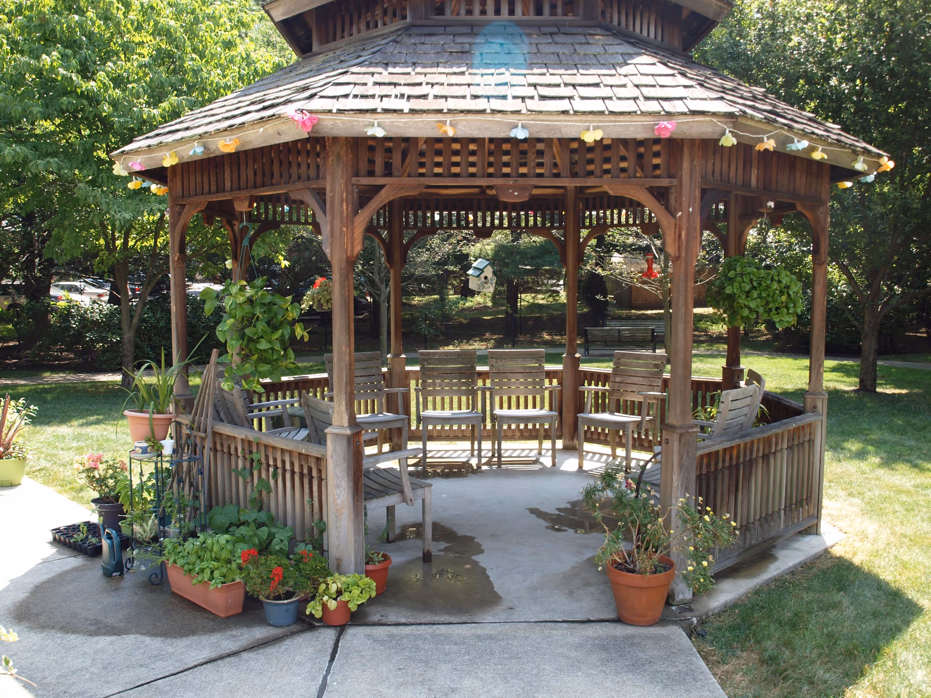 A wooden gazebo in a garden setting with several wooden chairs arranged inside. The gazebo is decorated with colorful hanging lights and surrounded by various potted plants. Trees and greenery are visible in the background.