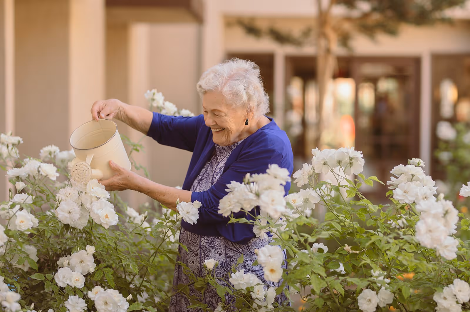 An elderly woman with white hair wearing a blue cardigan and patterned dress is smiling while watering white flowers in a garden area outside a building.