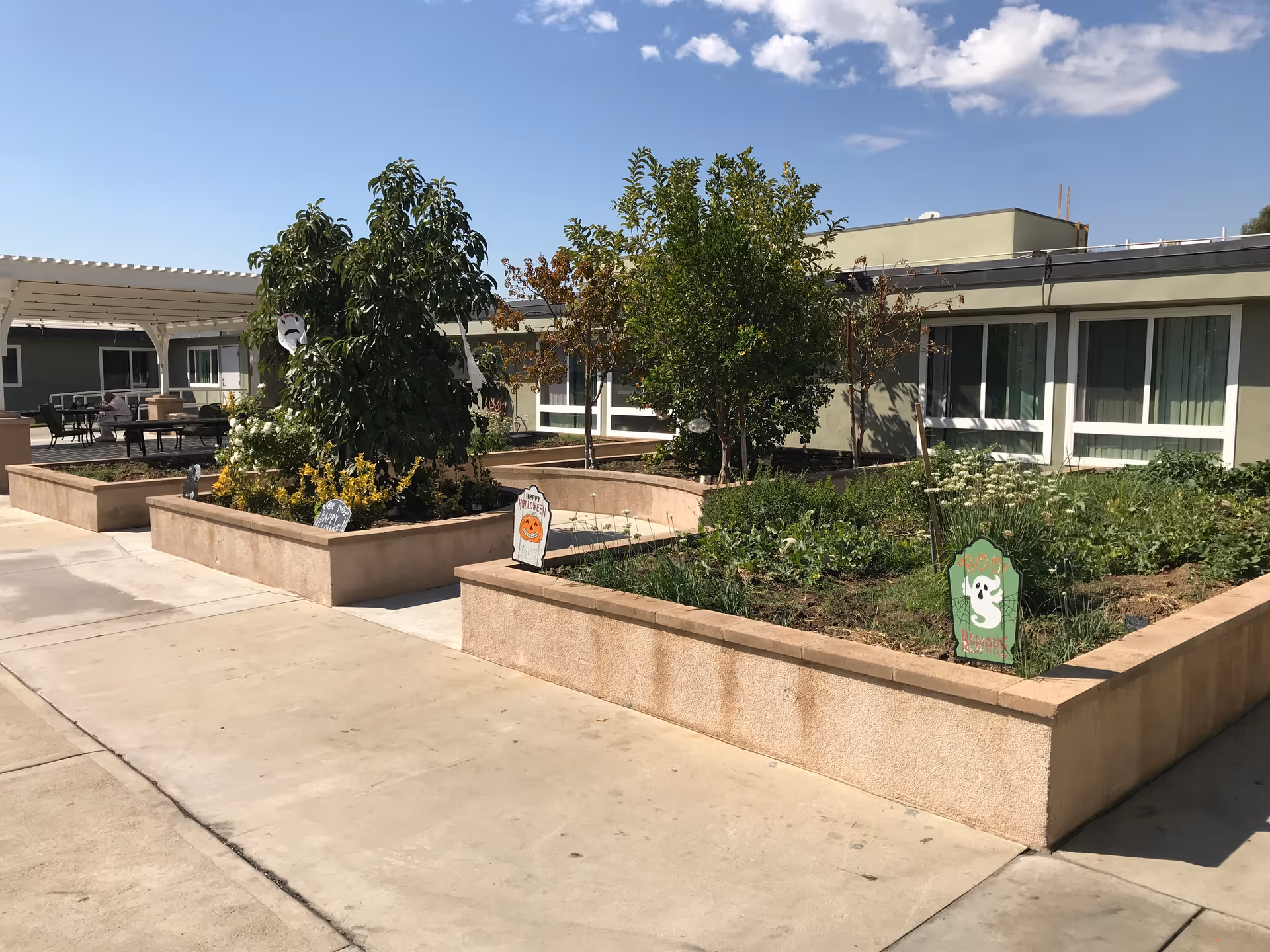 Outdoor garden area at Golden Legacy Care Center with raised planting beds containing various plants and small trees. Halloween decorations, including ghost and pumpkin signs, are placed in the garden beds. A patio with tables and chairs is visible in the background under a white pergola, and the building with large windows is seen behind the garden.