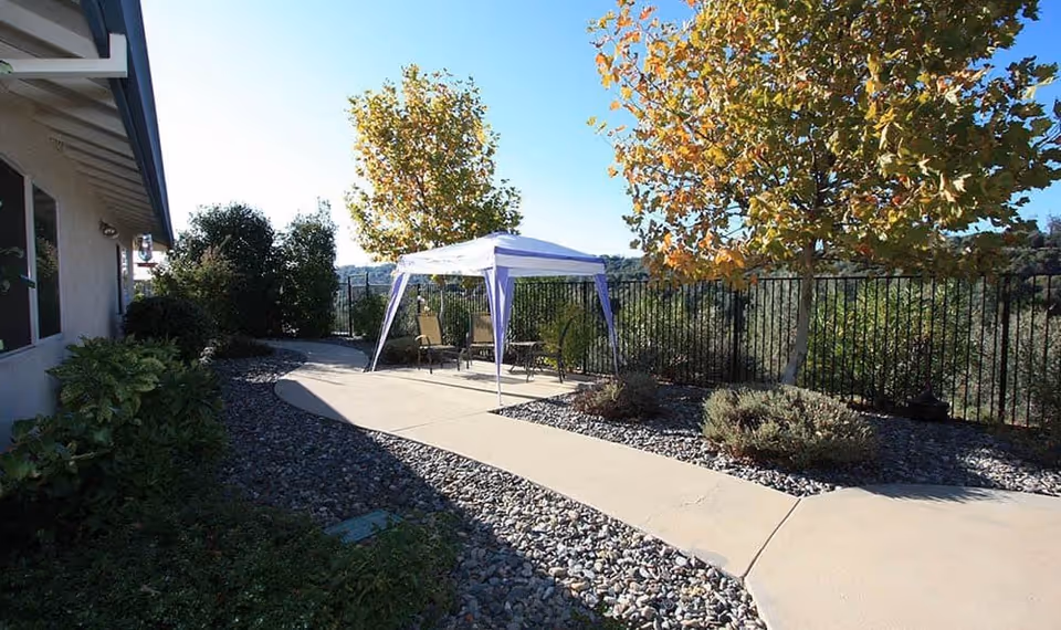 Outdoor patio area with a white canopy tent covering several chairs, surrounded by trees with autumn foliage and a black metal fence in the background. The ground is covered with rocks and a concrete walkway runs through the area.