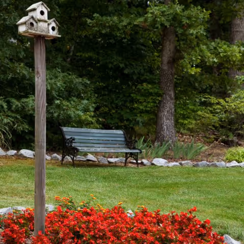 A peaceful outdoor garden area featuring a wooden birdhouse mounted on a tall post, a green metal bench, vibrant red flowers in the foreground, and lush green trees and grass in the background.